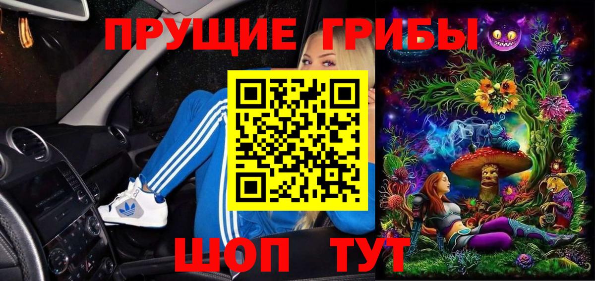 Псилоцибиновые грибы GOLDEN TEACHER Хасавюрт